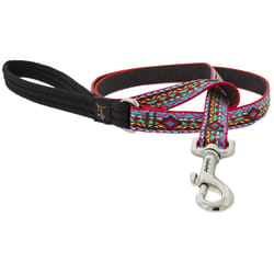 LupinePet Original Designs Multicolor El Paso Nylon Dog Leash