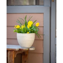 Southern Patio 7.5 in. H X 9 in. D Resin Egg Planter Whitestone