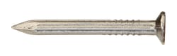 Ace 6D 2 in. Masonry Bright Steel Nail Flat Head 1 lb
