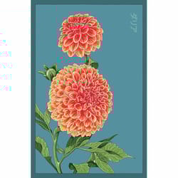 Chive Shido Seed Co. Duet Dahlia Seeds 1 pk