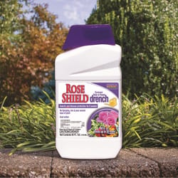 Bonide Rose Shield Systemic Insecticide and Disease Drench Liquid 40 oz