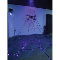 Celebrations Orange/Purple 400 ct 16 ft. LED Prelit Giant Web With Spider Hanging Decor