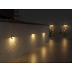 NEBO Low Voltage 2.5 W LED Wall/Pillar Light 1 pk