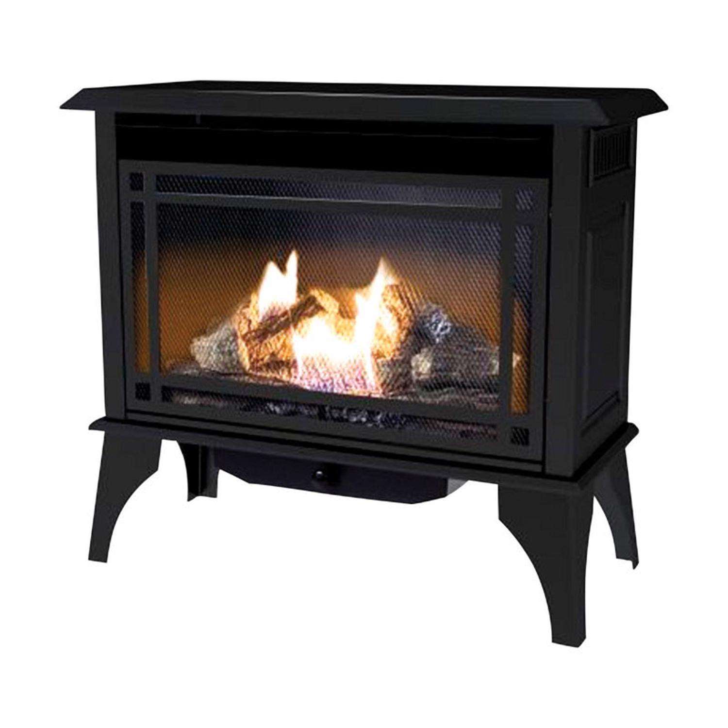Pleasant Hearth 1000 sq ft 30000 BTU Natural Gas/Propane Wall Fireplace  Heater - Ace Hardware