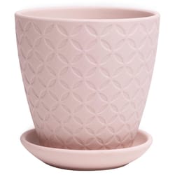 Chive Virago 3.3 in. D Ceramic Shape B Succulent Pot Soft Pink