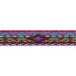 LupinePet Original Designs Multicolor El Paso Nylon Dog Training Leash