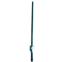 American Posts .5 in. H X 1.25 in. W X 5 ft. L 14 Ga. Powder Coated Green Steel U-Post