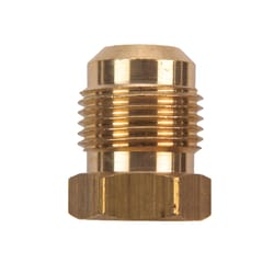 JMF Company 1/4 in. Flare Yellow Brass Hex Plug