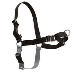 PetSafe Easy Walk Black Nylon Dog Harness Medium/Large