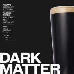 Pinter Dark Matter Stout Chocolate Beer 12 pt 1 pk