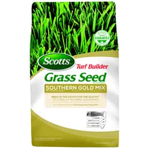 Grass Seed Ace Hardware