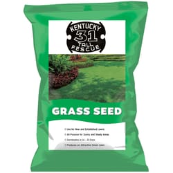 Jonathan Green Kentucky 31 Tall Fescue Grass Sun or Shade Grass Seed 25 lb