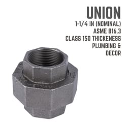 STZ Industries 1-1/4 in. FIP each X 1-1/4 in. D FIP Black Malleable Iron Union