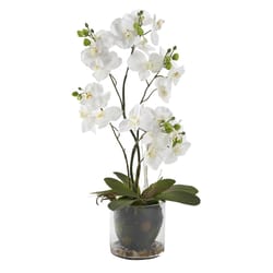 DW Silks 24 in. H X 9 in. W X 9 in. L Polyester White Phael Orchids in Glass Bowl