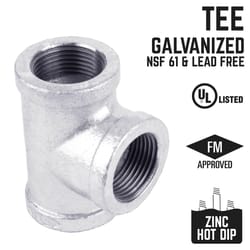 STZ Industries 1/8 in. FIP each X 1/8 in. D FIP Galvanized Malleable Iron Tee