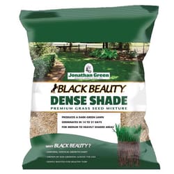 Jonathan Green Black Beauty Dense Shade Mixed Full Shade Grass Seed 1 lb