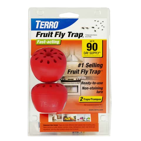 TERRO Fruit Fly Trap 2 pk - Ace Hardware