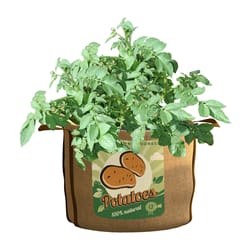 Panacea 16-1/2 in. H Burlap Potato Planter Brown