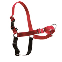 PetSafe Easy Walk Red Nylon Dog Harness Medium/Large