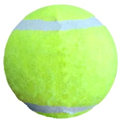 Petsport Green Polyster/Rubber Catnip Ball Cat Toy 2 pk