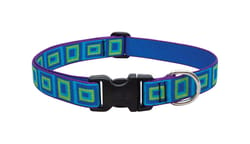 LupinePet Original Designs Multicolor Sea Glass Nylon Dog Adjustable Collar