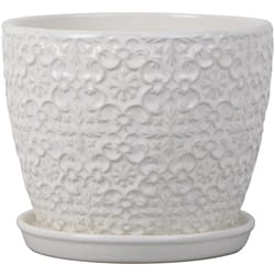 Trendspot 6.8 in. H X 8 in. W X 8 in. D Ceramic Mediterranean Planter White