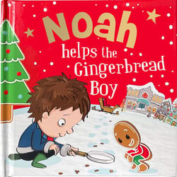 Christmas Noah Storybook