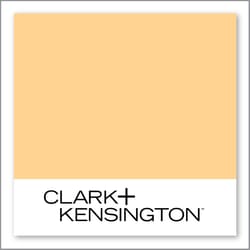 Clark+Kensington Diced Pineapple 17D-3