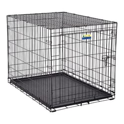 Vibrant Life Pet Kennel for Dogs, Hard-Sided Pet Carrier, Large, 40in Length