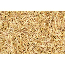 Locally Sourced Wheat Straw Bale