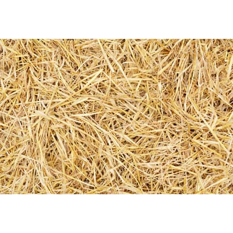 Bale of Straw