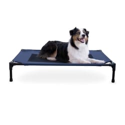 K&H Pet Prodcuts Navy Elevated Pet Bed 7 in. H X 30 in. W X 42 in. L