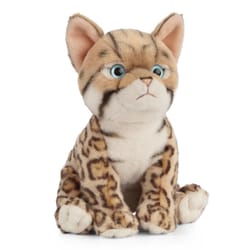 Living Nature Bengal Kitten Multicolored