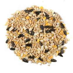 Nature's Nuts Super Value Assorted Species Millet Wild Bird Food 20 lb