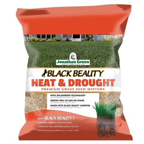 Ace hardware on sale grass seed