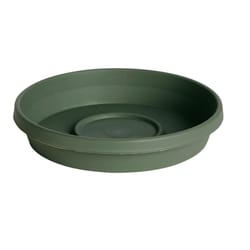 Bloem TerraTray 2.7 in. H X 16 in. D Resin Plant Saucer Living Green