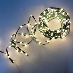 Celebrations LED Micro Dot/Fairy Multicolored/Warm White 100 ct String Christmas Lights 16.6 ft.
