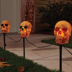 Celebrations Clear 6 in. Incandescent Prelit Halloween Skull Pathway Decor