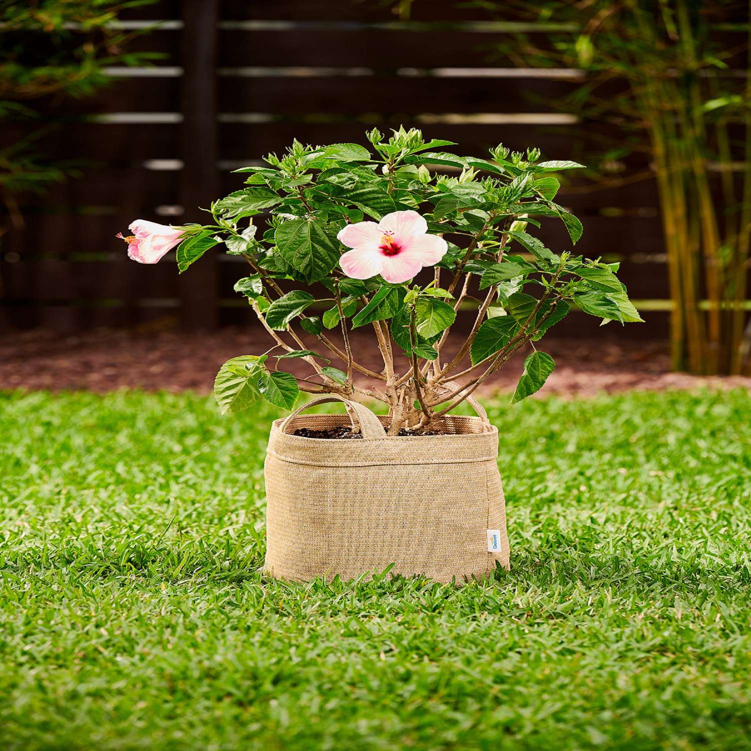 Coolaroo 11 in. H X 12 in. W X 12 in. D X 12 in. D Polyethylene Round