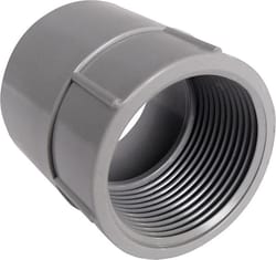 Cantex 1-1/2 in. D PVC Female Adapter For PVC 1 each