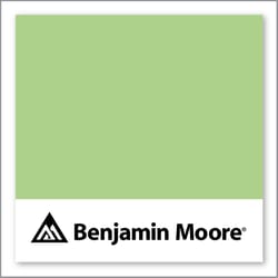 Benjamin Moore Lime Twist 425