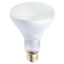 Westinghouse 65 W BR30 Reflector Incandescent Bulb E26 (Medium) White 1 pk