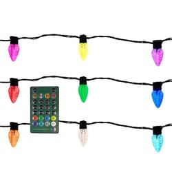 Celebrations Platinum LED RGBW Novelty Smart-Enabled Christmas Lights