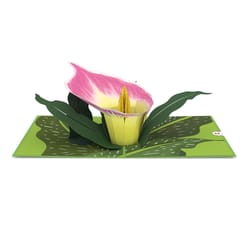 Lovepop Pink Calla Lily 3D Card Paper 1 pk