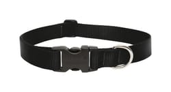 LupinePet Basic Solids Black Black Nylon Dog Adjustable Collar