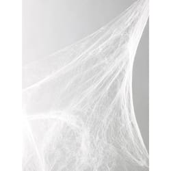 Fun World 18 in. Spider Web Halloween Decor