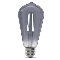 Feit ST19 E26 (Medium) LED Bulb Smoke Daylight 25 Watt Equivalence 1 pk