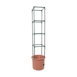 Hydrofarm 12 in. H X 14 in. W Green Plastic Tomato Cage