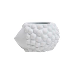 Chive Animal Planter 4 in. D Ceramic Hedgehog Succulent Pot Mint