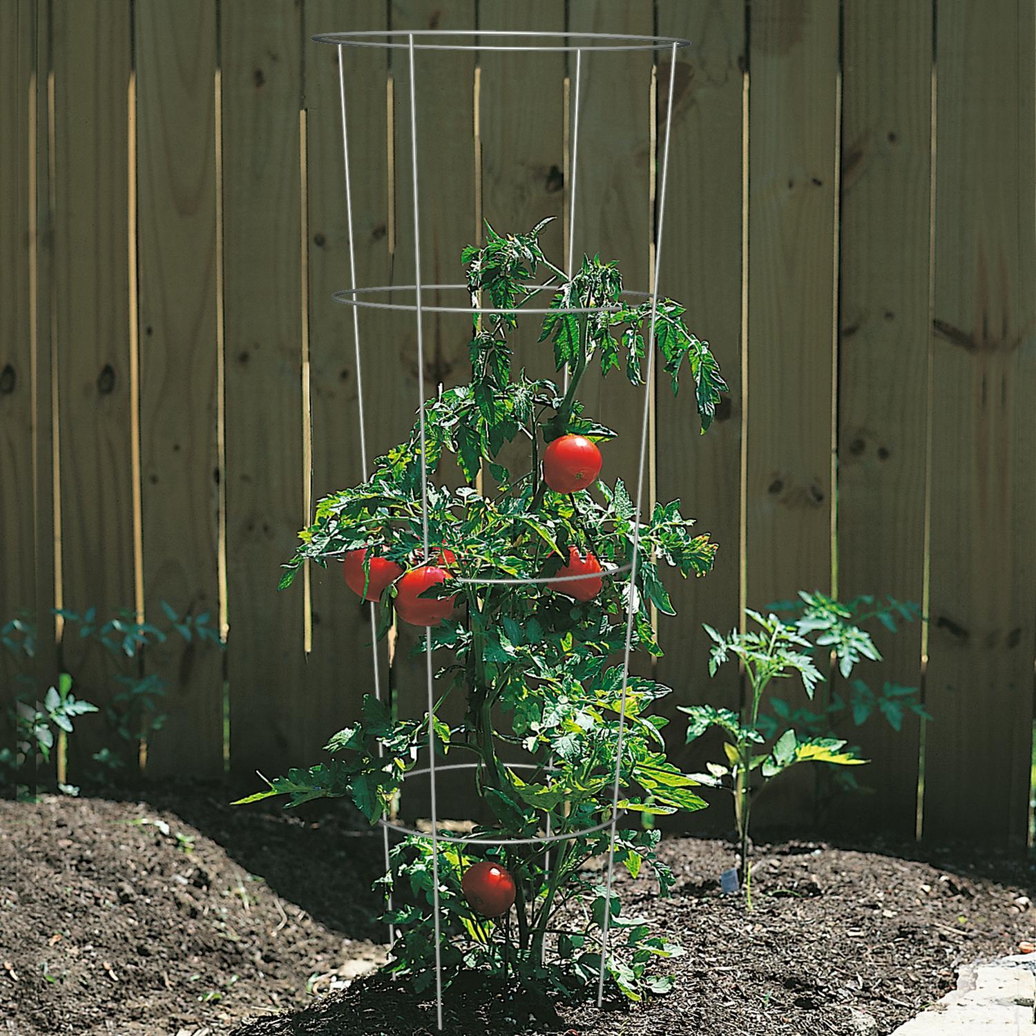 Panacea 54 in. H X 16 in. W X 16 in. D Gray Steel Tomato